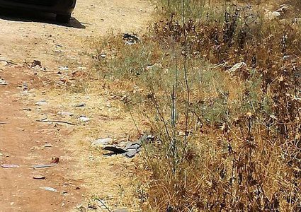 انقلاب مركبة جنوب نابلس