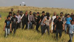 عشرات المستوطنين يعربدون شرق جنين بحماية جيش الاحتلال