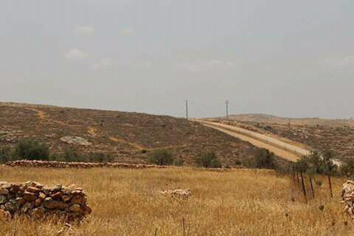 شبح المصادرة..أهالي الزاوية يواجهونه باستصلاح أراضيهم