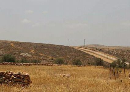 شبح المصادرة..أهالي الزاوية يواجهونه باستصلاح أراضيهم