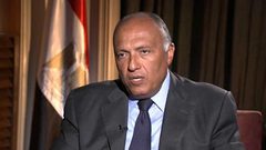 شكري: جهودنا مستمرة لتحقيق سلام يضمن استعادة الشعب الفلسطيني حقوقه