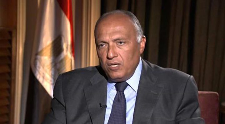 شكري: جهودنا مستمرة لتحقيق سلام يضمن استعادة الشعب الفلسطيني حقوقه