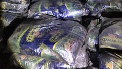 ضبط 14 طن أرز منتهي الصلاحية في طولكرم