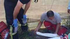 إصابة متوسطة إثر حادث جرار زراعي (صور)