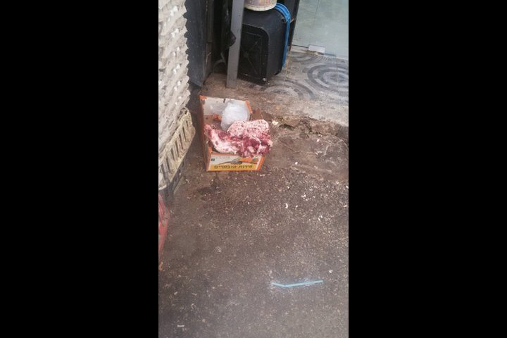 سوق نابلس يسأل "الجهات المختصة" أين أنتم؟ (صور صادمة)