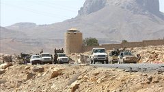 القوات اليمنية تستعيد جبلا إستراتيجيا غرب تعز
