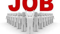 فرص عمل في مجلس القضاء الأعلى