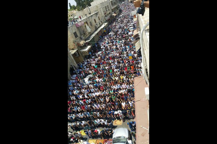 المعتصمون يؤدون صلاة الظهر أمام بوابتي المجلس والأسباط "فيديو"