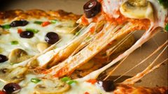 عدّة تخصصات