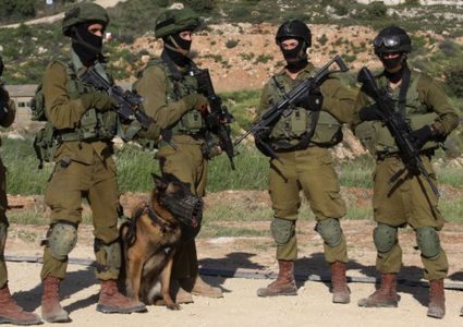 كلاب إسرائيلية تحرس رئيس وزراء الهند !