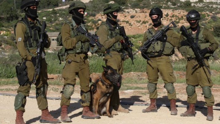 كلاب إسرائيلية تحرس رئيس وزراء الهند !
