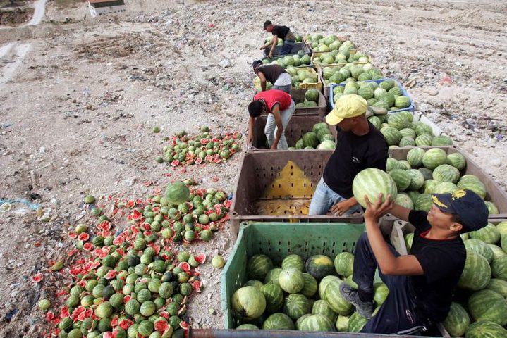 "ع المجاري يا بطيخ"