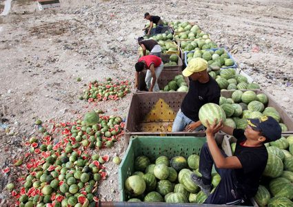 "ع المجاري يا بطيخ"