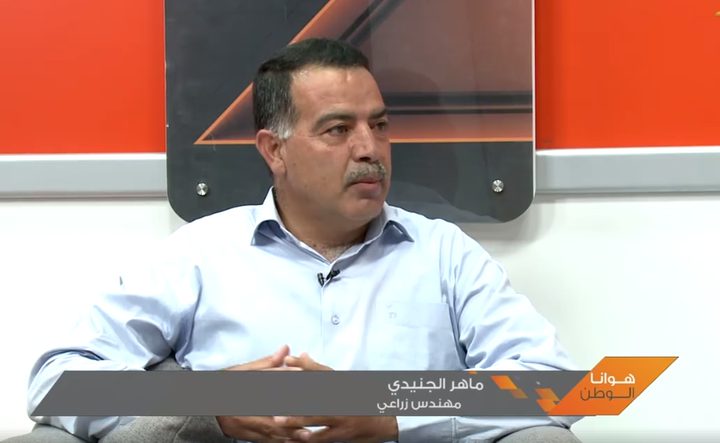 البطيخ فاكهة الصيف