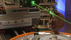 العثور على جمجمة عمرها 13 مليون سنة قد تكشف سر تطور القردة!