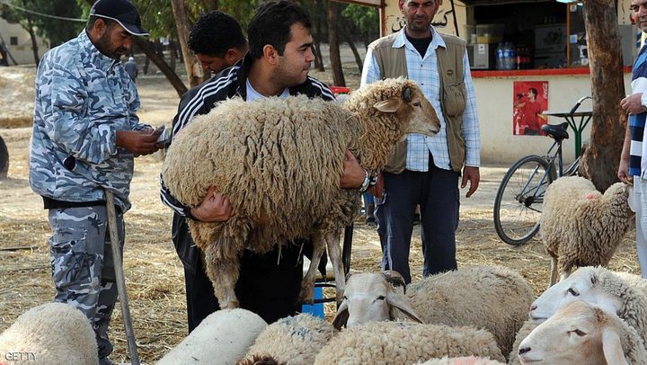 الزراعة: أحضرنا 25 الف أضحية... وإليكم أسعار اللحوم