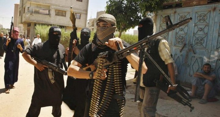 أبو الهول: الجماعات المتشددة ظهرت بدخول حماس التشريعي