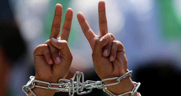 قرار بالإفراج عن الطفلة شهد أبو كويك