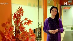 هوانا الوطن .. الحلقة كاملة