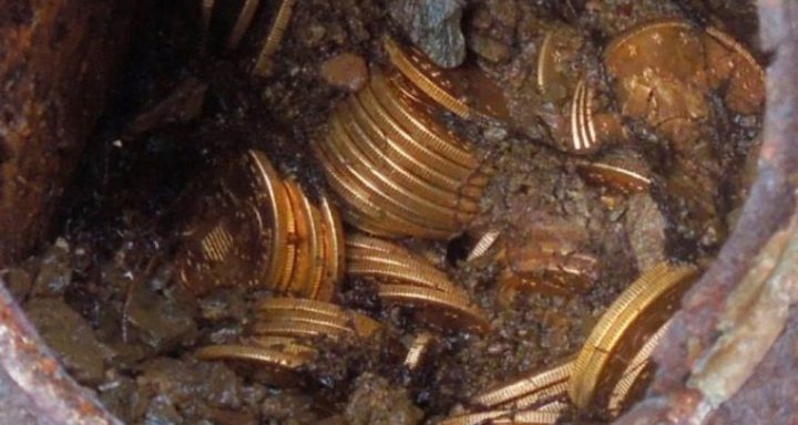 بالفيديو: مصري يكتشف كنوز قارون ويطالب السيسي بـ10%