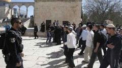 136 مستوطنا يقتحمون الاقصى بحراسات مشددة
