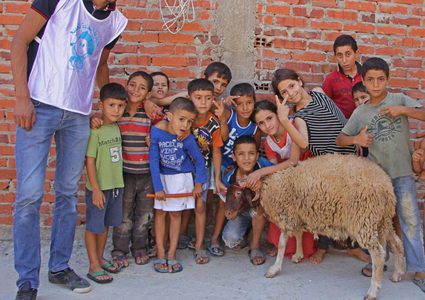 لمن يريد تقديم أضحية...هذه هي الشروط