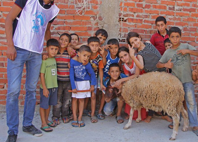 لمن يريد تقديم أضحية...هذه هي الشروط