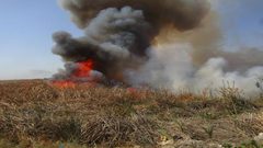 اندلاع حريق في أراضي ببلدة نحالين