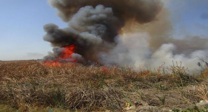 اندلاع حريق في أراضي ببلدة نحالين