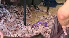 بالصور: إغلاق مسلخ غير مطابق لشروط الصحة والسلامة العامة