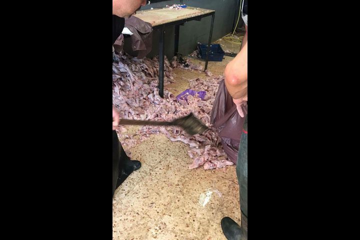 بالصور: إغلاق مسلخ غير مطابق لشروط الصحة والسلامة العامة