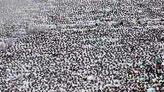 الحجاج يؤدون صلاتي الظهر والعصر بمسجد نمرة بعرفات (صور)