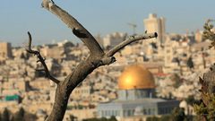 أوقاف القدس: نرفض قرار محكمة الاحتلال