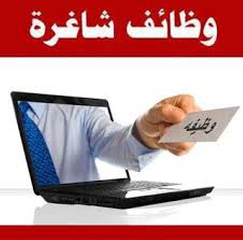 مندوبة مبيعات -عمل ميداني.