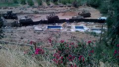 الإحتلال يستولي على أبقار وخزانات مياه في الأغوار