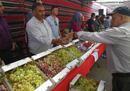 بركات: مهرجان العنب لهذه السنة سيقام في ثلاث محافظات (صور)