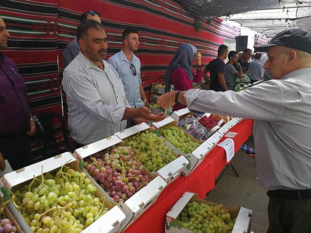 بركات: مهرجان العنب لهذه السنة سيقام في ثلاث محافظات (صور)