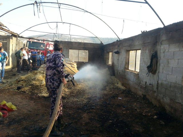 بالصور: اندلاع حريق بمزرعة دواجن غرب جنين