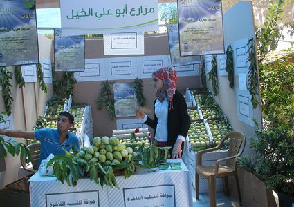 فاكهة الخريف..مذاقها ممزوج بعبق تراب قلقيلية