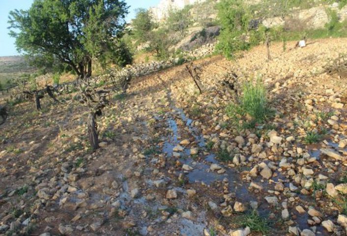 مستوطنون يضخون مياه عادمة في أراضي المواطنين