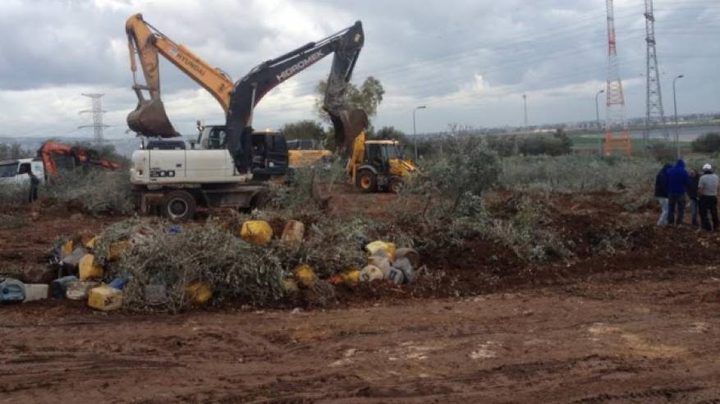 مستوطنو "هتمار" يجرفون أراضي جنوب بيت لحم
