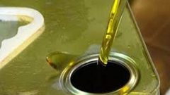 توقعات بانتاج قلقيلية (1400) طن زيت زيتون العام الجاري