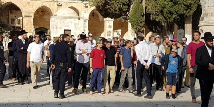 مستوطنون يواصلون اقتحام الأقصى وتعزيزات أمنية بالقدس بـ”الغفران”