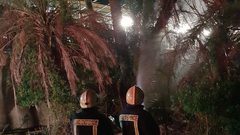 حريق يلتهم عشرات اشجار النخيل والحمضيات في أريحا