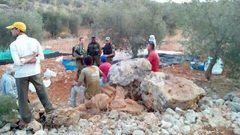 الاحتلال يمنع المزارعين من قطف الزيتون