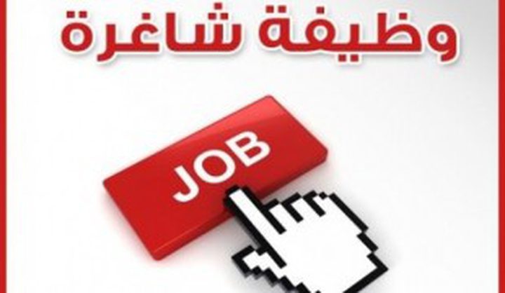 مطلوب سائق