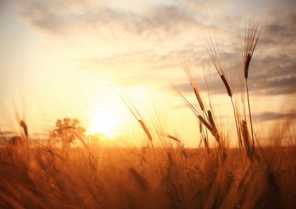 تشرين بين نار الحرب وأغنية الحب