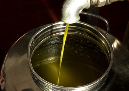 موسم قطف الزيتون: كم كمية الزيت المتوقعة لهذا العام؟