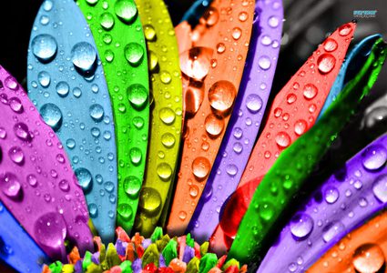 مصممة جرافكس