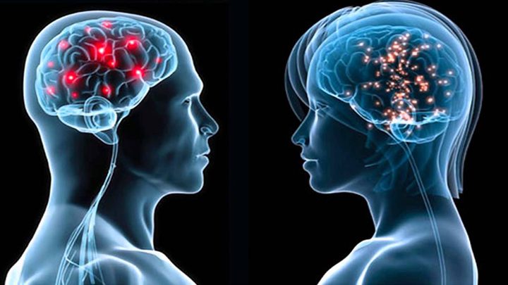 اكتشاف جديد : الدماغ يتخلص من السموم عن طريق أنابيب